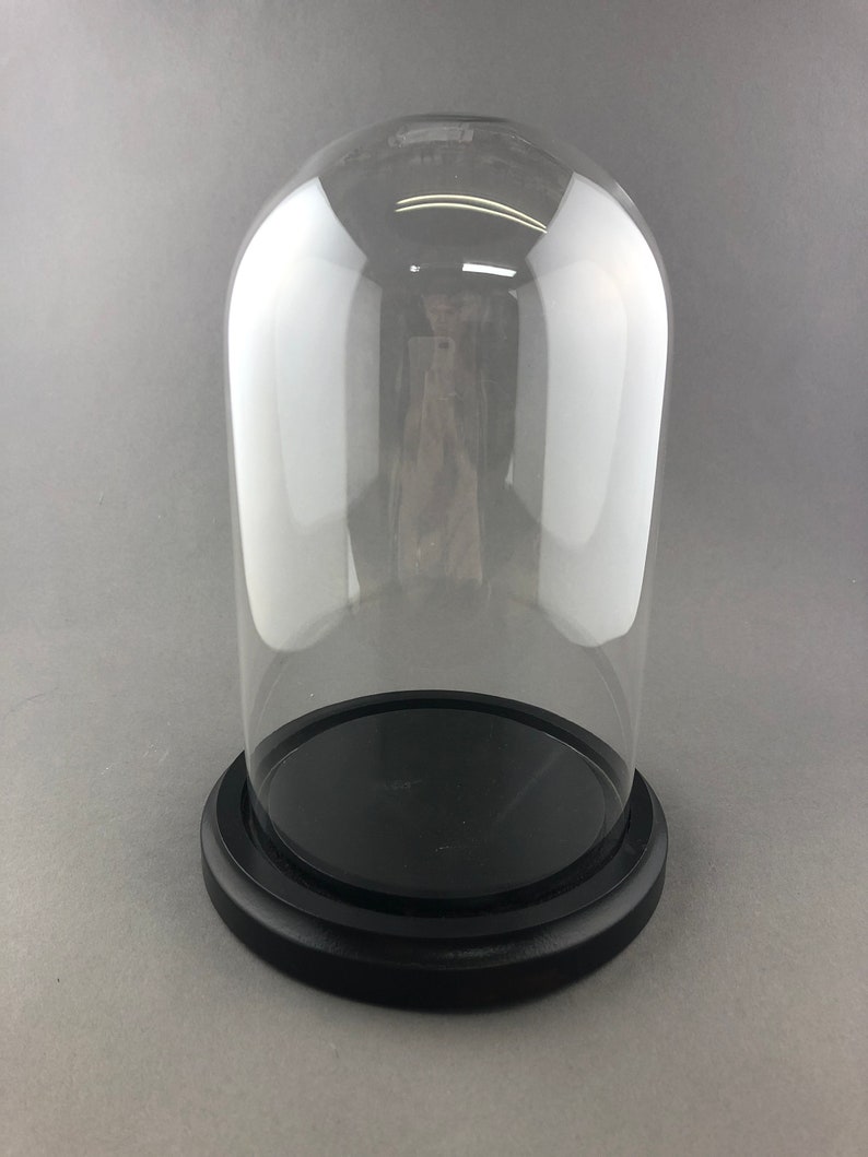 Bell Jar Glass Dome With Black Wood Base Etsy
