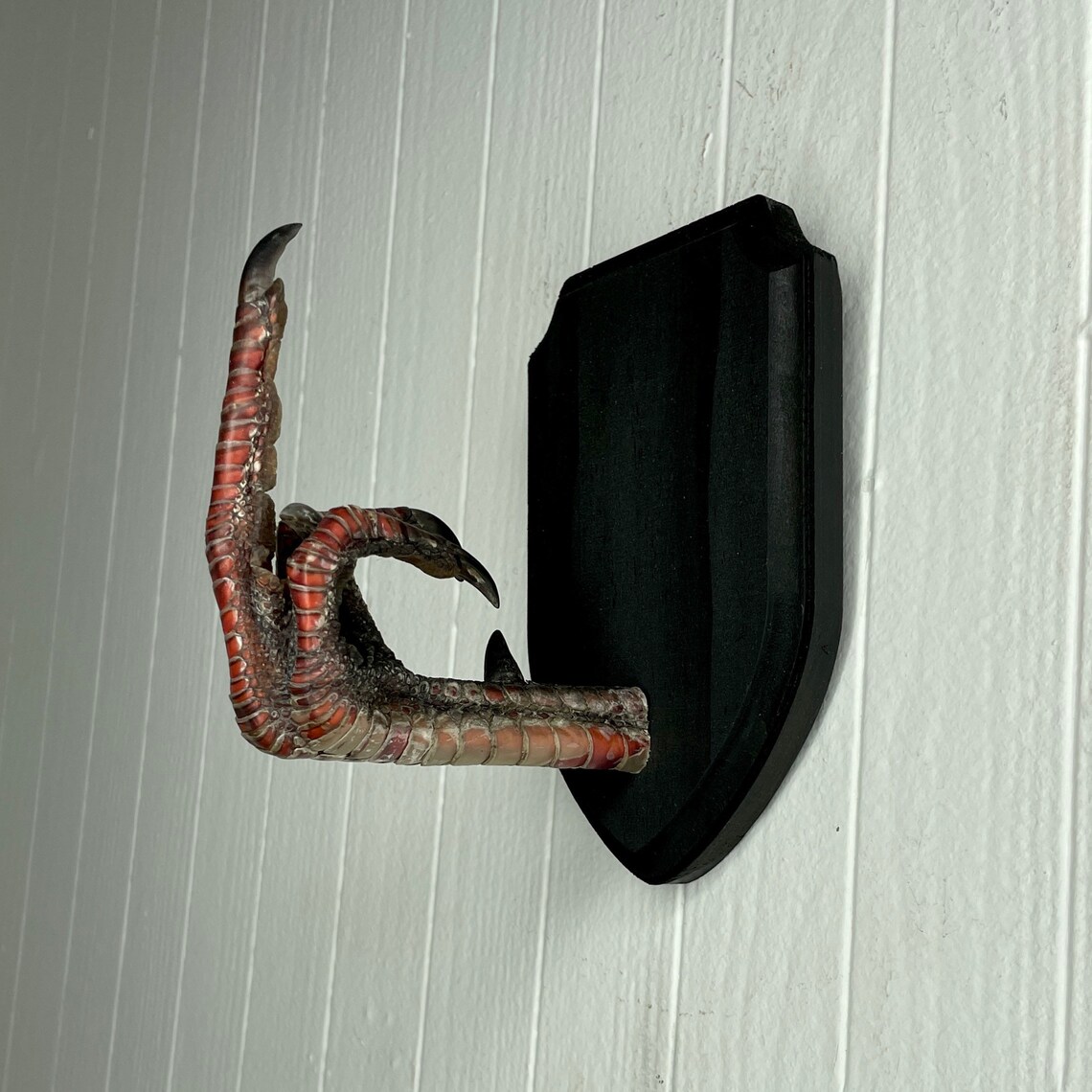 XL Taxidermy Middle Finger THE BIRD Turkey Black Wood Wall Etsy