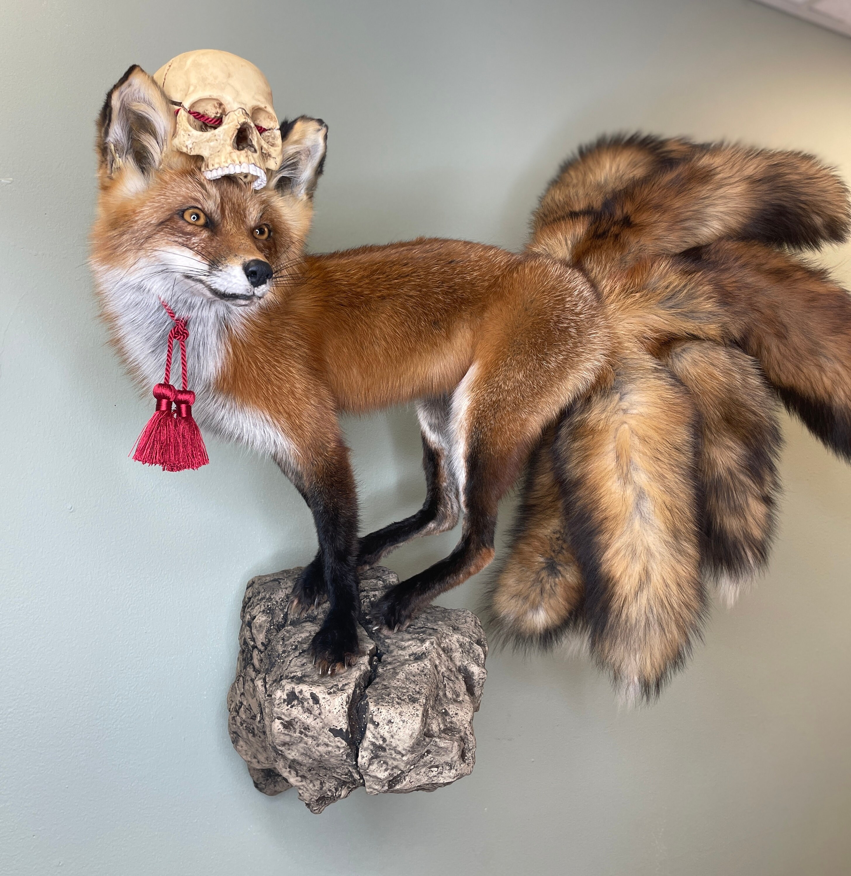 Kitsune Fox Taxidermy Japanese Yokai Folklore Nine Tails Human
