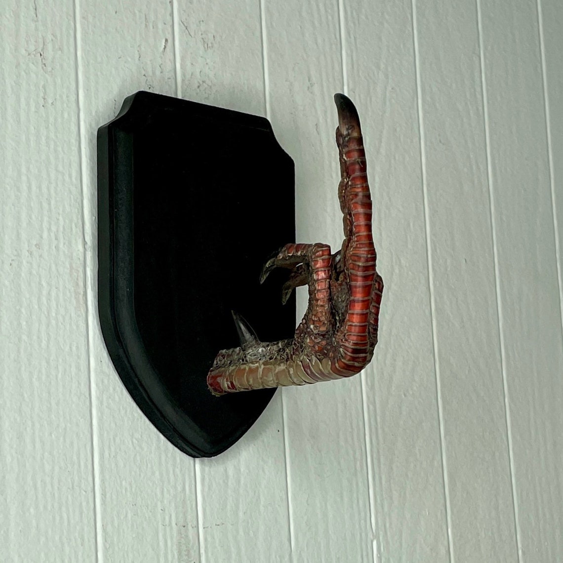 XL Taxidermy Middle Finger THE BIRD Turkey Black Wood Wall Etsy