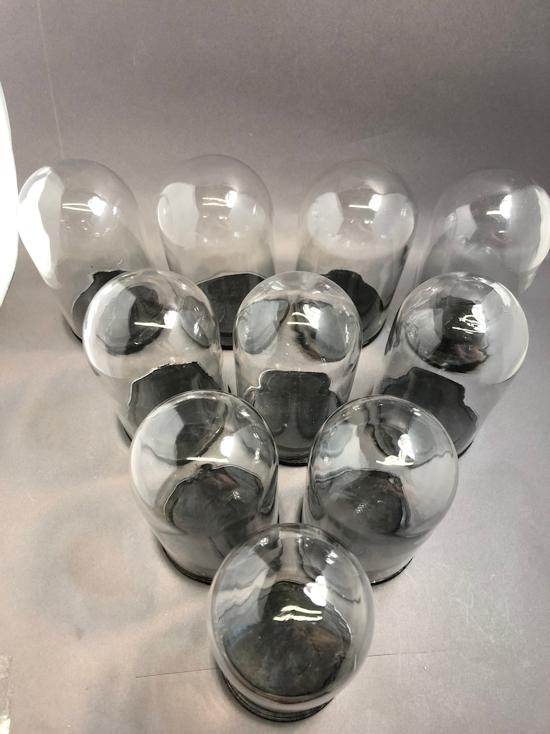 Vintage 5x2.5 Glass Dome Bell Jar Black Wood Base Etsy