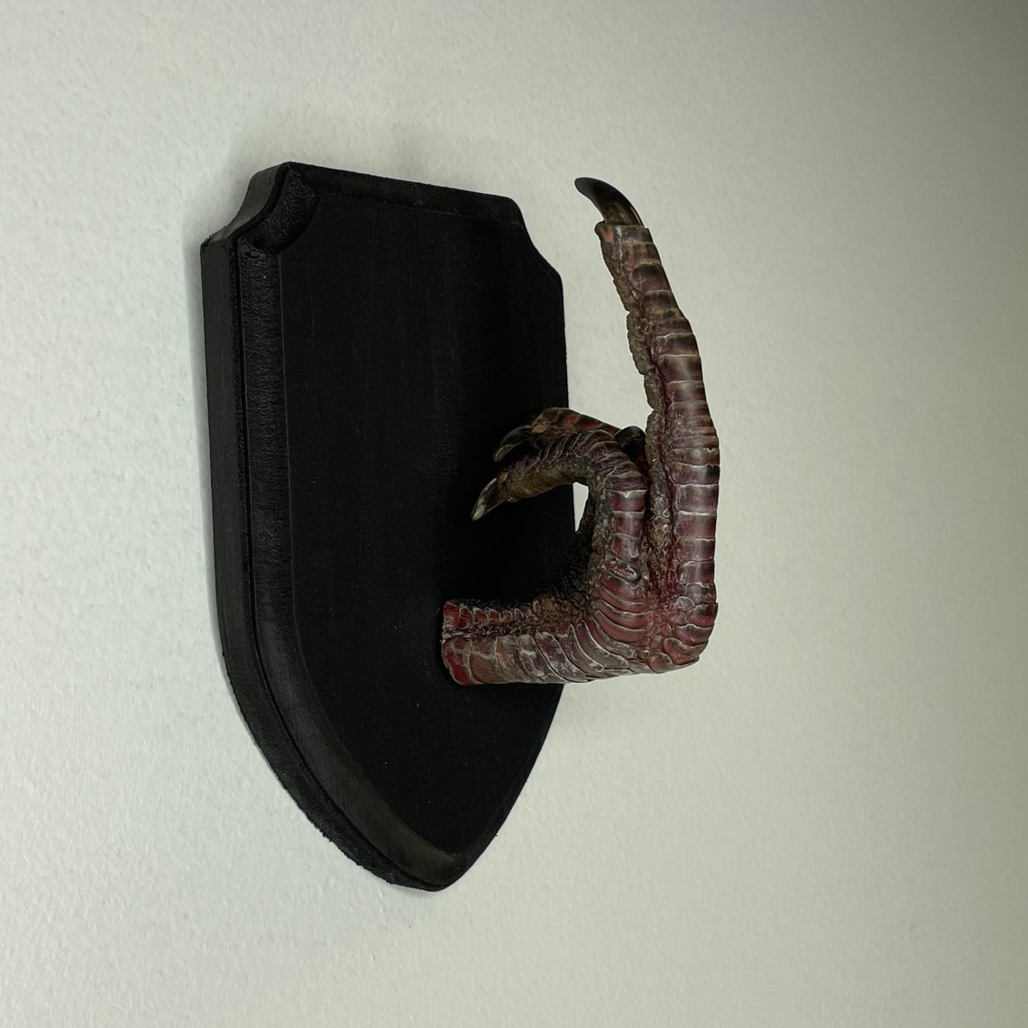 XL Taxidermy Middle Finger THE BIRD Turkey Black Wood Wall Etsy