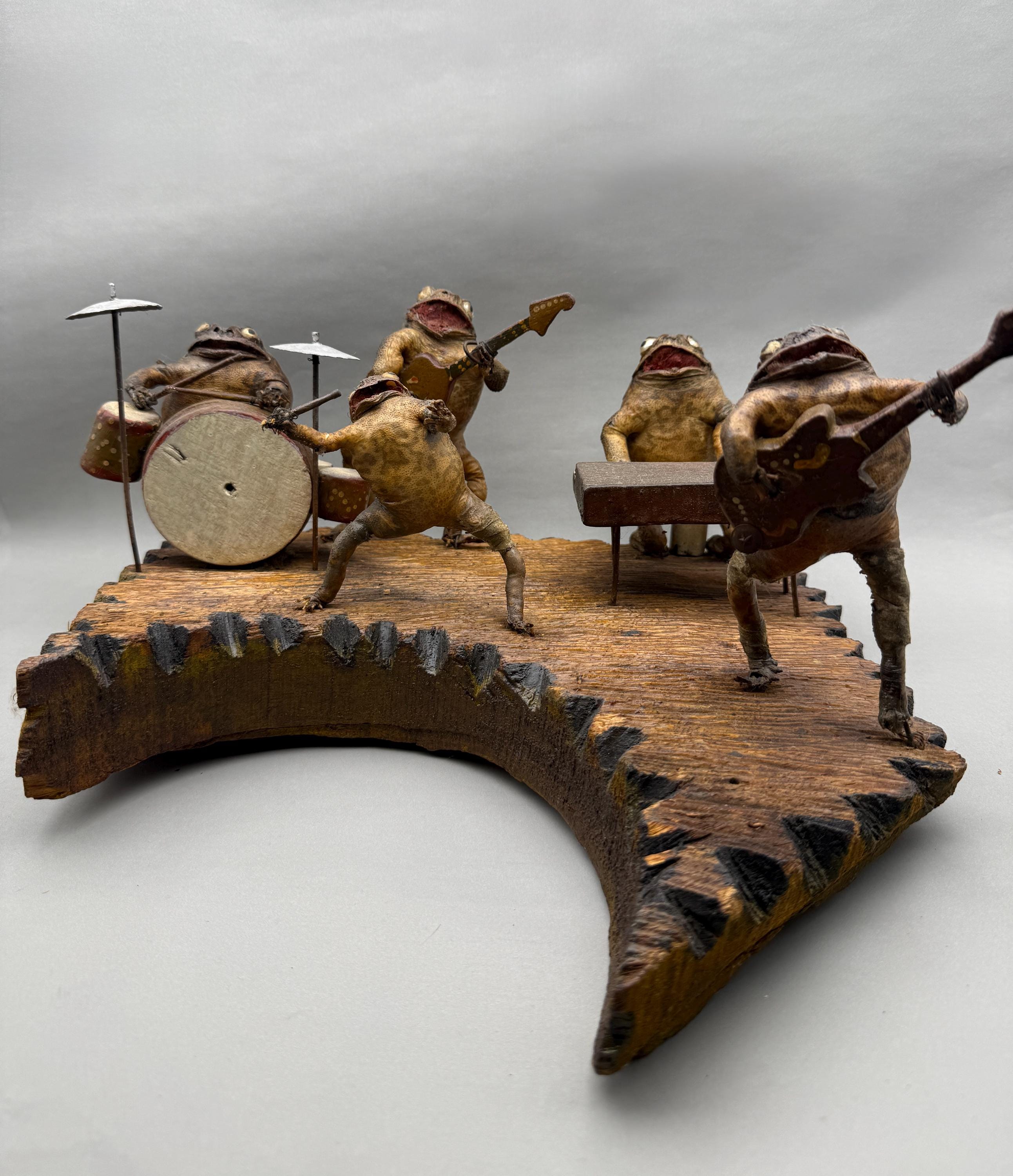 Real Taxidermy Frog Band - Etsy