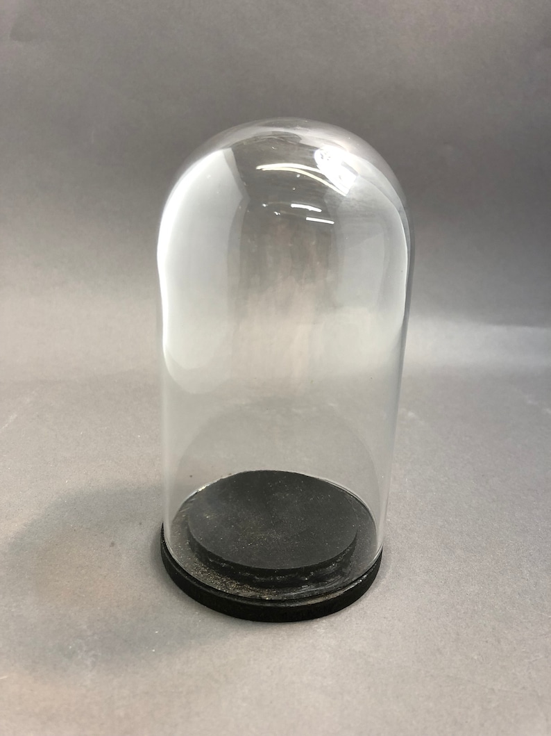 Vintage 5x2.5 Glass Dome Bell Jar Black Wood Base Etsy