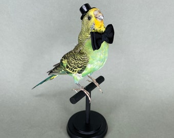 Taxidermy Parakeet with Top Hat and Bow Tie