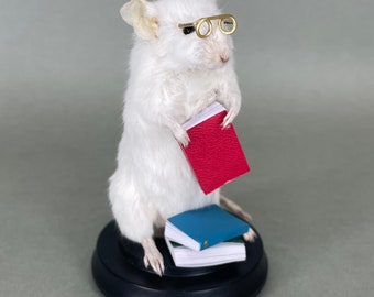 Bookworm Librarian Reading Book Lover Taxidermy Mouse with Glasses and Books