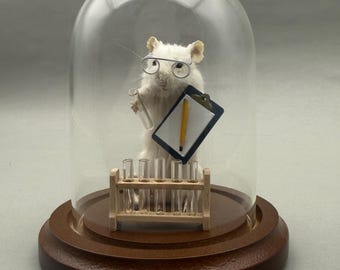 Lab Rat Scientist Mouse Taxidermy Science Teacher Researcher