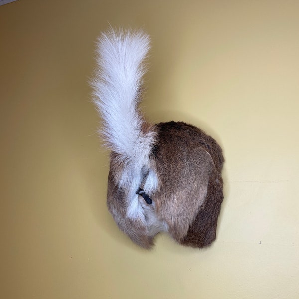 Taxidermy Deer Butt Rump Bottle Opener
