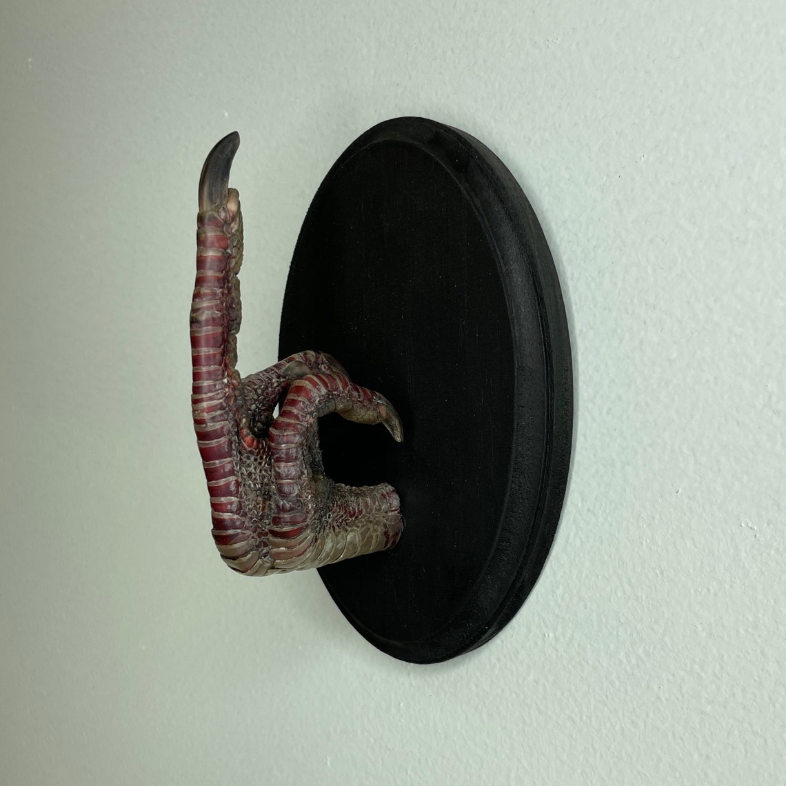 XL Taxidermy Middle Finger THE BIRD Turkey Black Wood Wall Etsy