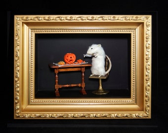 Halloween Taxidermy Mouse with Pumpkin Carving, Jack-o-lantern