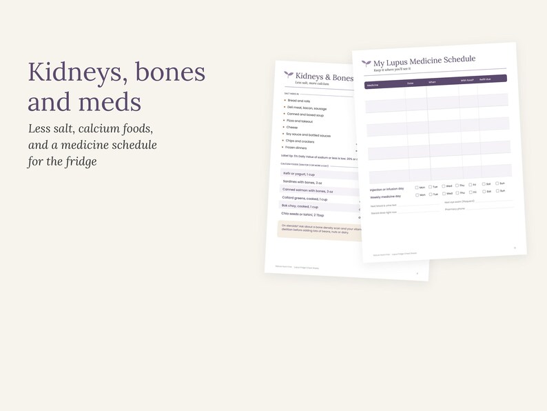 May include: Two white printed information sheets titled Kidneys, bones and meds and My Lupus Medicine Schedule. The documents feature lists of foods, dietary guidelines, and a blank table for tracking medication, all presented in a clean layout.