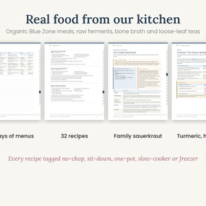 Rheumatoid Arthritis Workbook Printable, RA Diet Guide & 2 Week Meal Plan, Anti Inflammatory Food List, Flare Tracker, PDF image 5