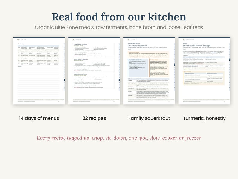 Rheumatoid Arthritis Workbook Printable, RA Diet Guide & 2 Week Meal Plan, Anti Inflammatory Food List, Flare Tracker, PDF image 5