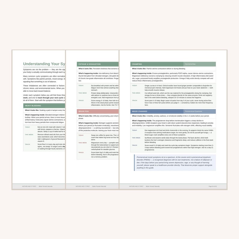 Puede incluir: Una gu&iacute;a informativa de varias p&aacute;ginas titulada Understanding Your Symptoms, que presenta secciones estructuradas sobre sangrado abundante, fatiga, agotamiento, niebla mental, calambres y cambios de humor con columnas de texto.