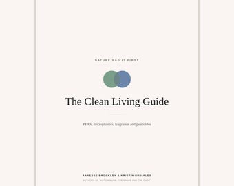 Low Tox Living Guide PDF, Endocrine Disruptor Reference Printable, PFAS Microplastics Fragrance Swap List, Clean Home Guide Download