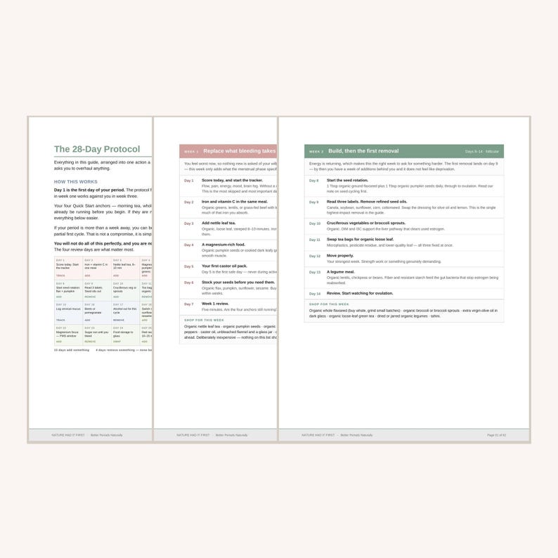 Puede incluir: Un documento de tres p&aacute;ginas titulado The 28-Day Protocol, que presenta pautas de salud estructuradas. Las p&aacute;ginas incluyen tablas, instrucciones diarias y listas de compras para una rutina de bienestar, con texto organizado en columnas.
