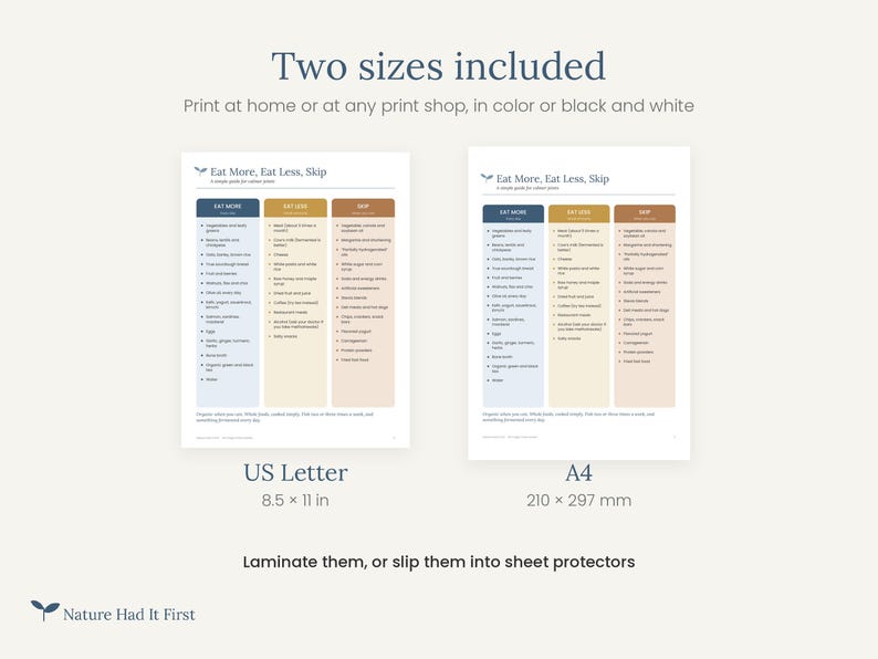 Peut inclure: Un guide alimentaire num&eacute;rique intitul&eacute; Eat More, Eat Less, Skip avec trois colonnes de texte. Deux versions sont pr&eacute;sent&eacute;es : un format US Letter de 8,5 par 11 pouces et un format A4 de 210 par 297 mm. Le guide comporte des en-t&ecirc;tes bleu, jaune et marron.