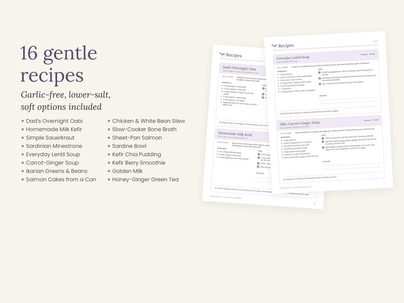 May include: A digital document titled 16 gentle recipes with garlic-free, lower-salt, and soft options. The text lists sixteen recipes including Dad's Overnight Oats and Chicken & White Bean Stew, alongside two pages of detailed recipe instructions.