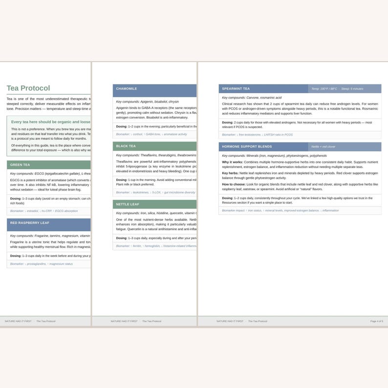 Op de afbeelding: Een document van meerdere pagina's getiteld Tea Protocol met gestructureerde informatie over verschillende theesoorten. De tekst bevat secties voor groene thee, frambozenblad, kamille, zwarte thee, brandnetelblad, muntthee en hormoonondersteunende melanges.