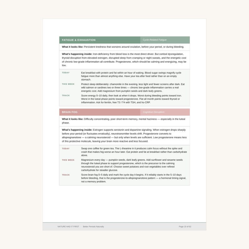 Puede incluir: Una p&aacute;gina de documento informativa blanca titulada Fatigue & Exhaustion y Brain Fog. Presenta dos secciones codificadas por colores con encabezados verde y rosa, detallando s&iacute;ntomas, causas biol&oacute;gicas, consejos diet&eacute;ticos diarios e instrucciones de seguimiento.