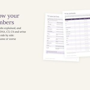 以下が含まれることがあります： Know your numbersおよびMy Lab Resultsと題された2枚の白い情報シート。文書には、抗dsDNA、C3、C4、尿タンパク質などのループス検査に関する説明と、結果を記録するための表が記載されています。