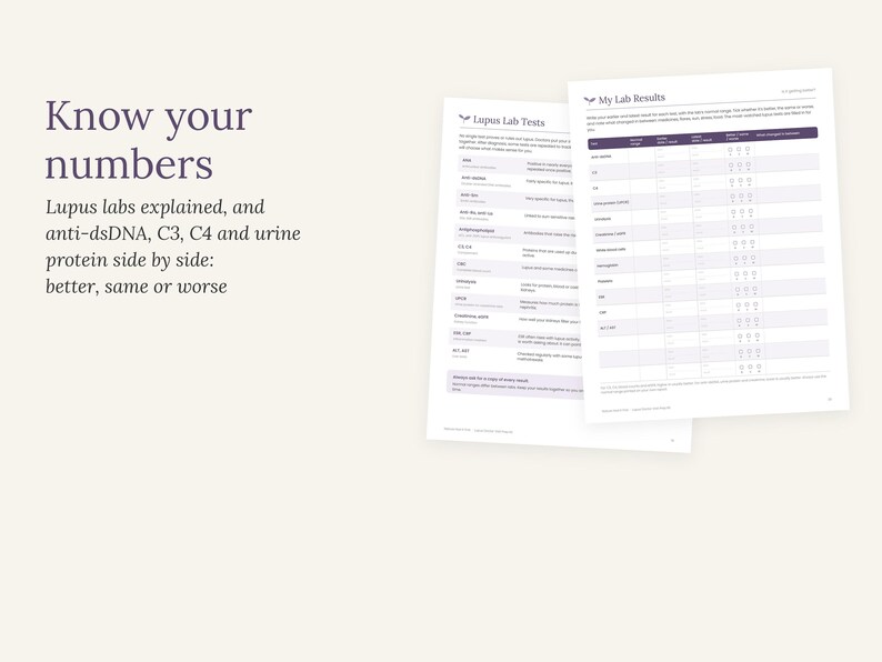 以下が含まれることがあります： Know your numbersおよびMy Lab Resultsと題された2枚の白い情報シート。文書には、抗dsDNA、C3、C4、尿タンパク質などのループス検査に関する説明と、結果を記録するための表が記載されています。