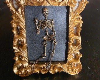 Poseable Skeleton in mini vintage style frame