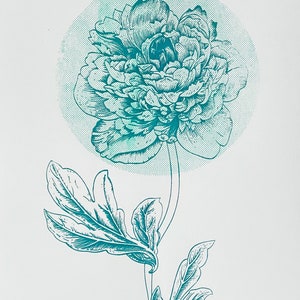 Flower poster vintage, unique peony wall decoration, screenprint wall poster imagem 5