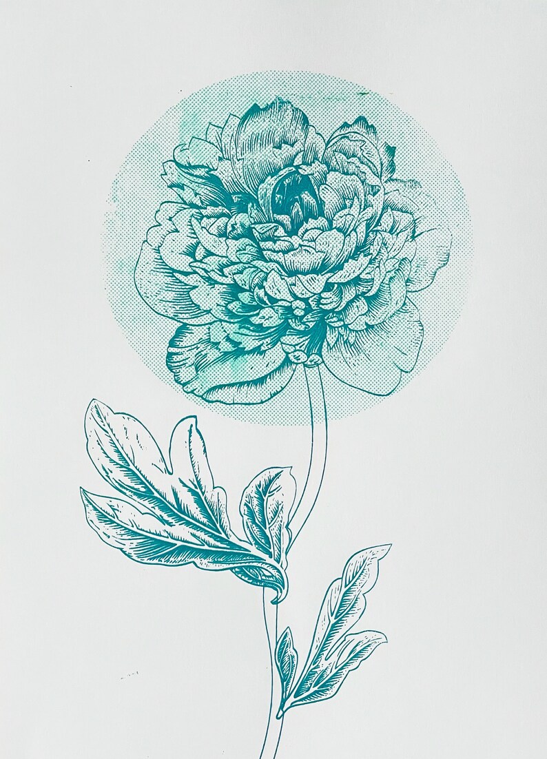 Flower poster vintage, unique peony wall decoration, screenprint wall poster imagem 5