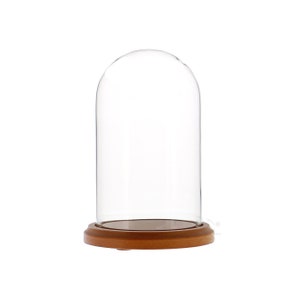 Glass Display Dome Cloche 4&quot; x 7&quot; with Walnut Base