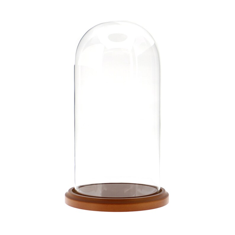 Glass Display Dome Cloche 5.5 X 11 With Walnut Base Etsy