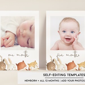 Woodland First Birthday Milestone Photos, Modèle de bannière photo mensuelle, Cartes photo Milestone, Photos de 1ère année, Forest Woodland Animals