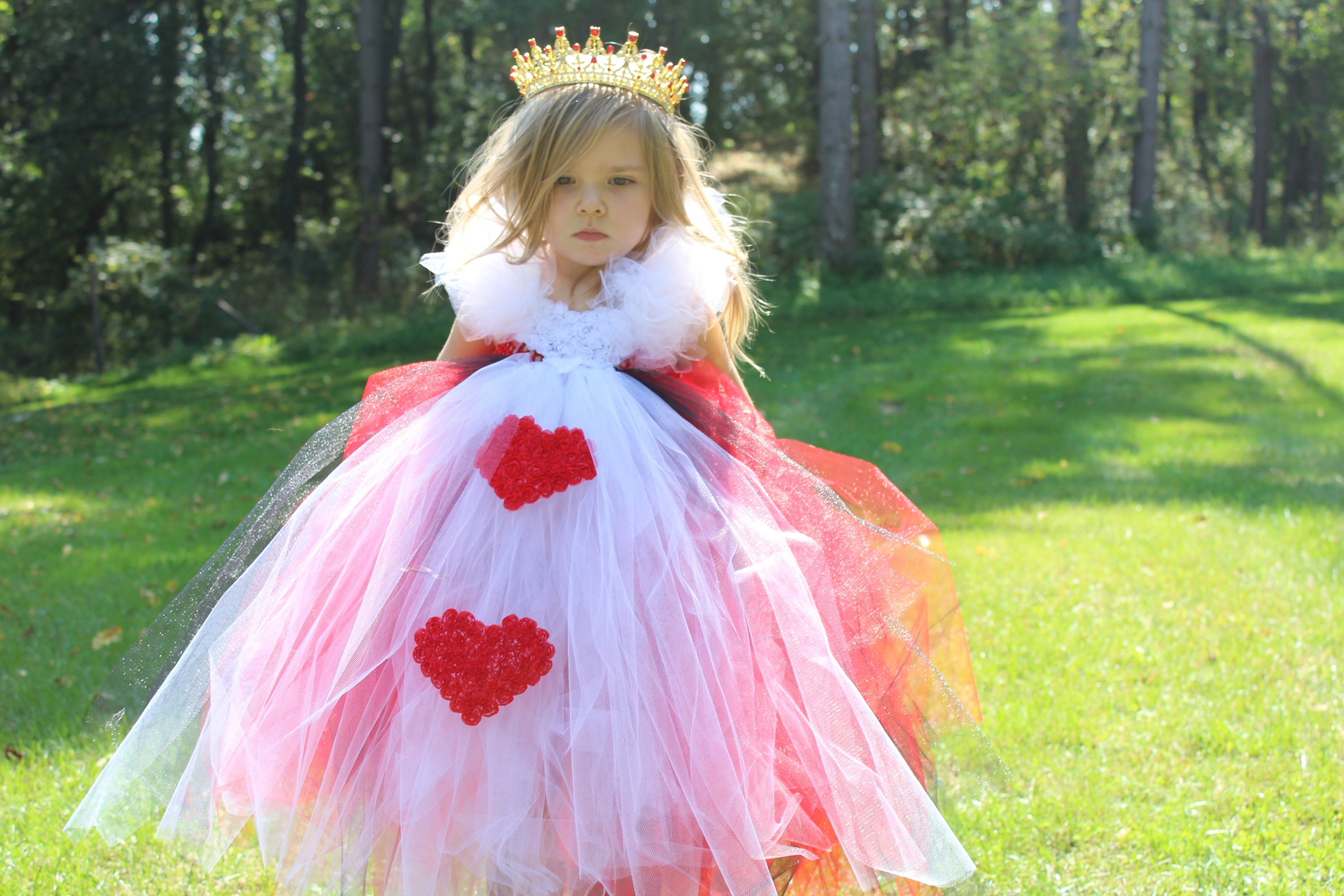 Queen of Hearts Tutu Halloween Costume Bridesmaid Birthday | Etsy