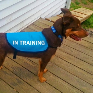In Training Dog Jacket Vest image 1