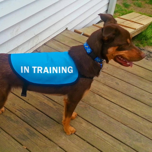 In Training Dog Jacket Vest