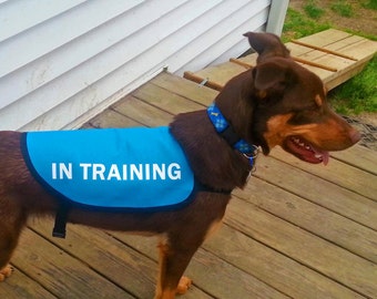 In Training Dog Jacket Vest