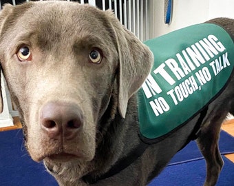 therapy dog jacket
