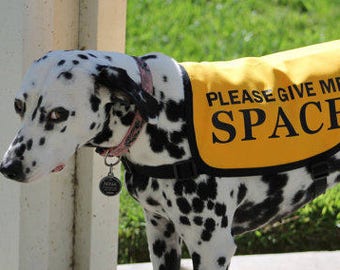 Jacket Vest for Dogs Working on Issues - &quot;Please Give Me Space&quot;