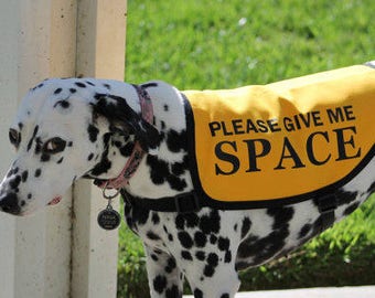 Jacket Vest for Dogs Working on Issues - "Please Give Me Space"