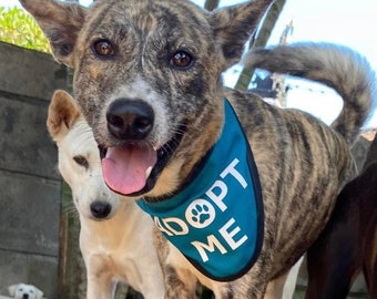 ADOPT ME Bandana Scarf for Rescue Dogs