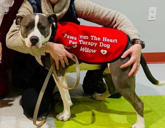 Paws From the Heart Pet Therapy Dog Jacket or Bandana Etsy