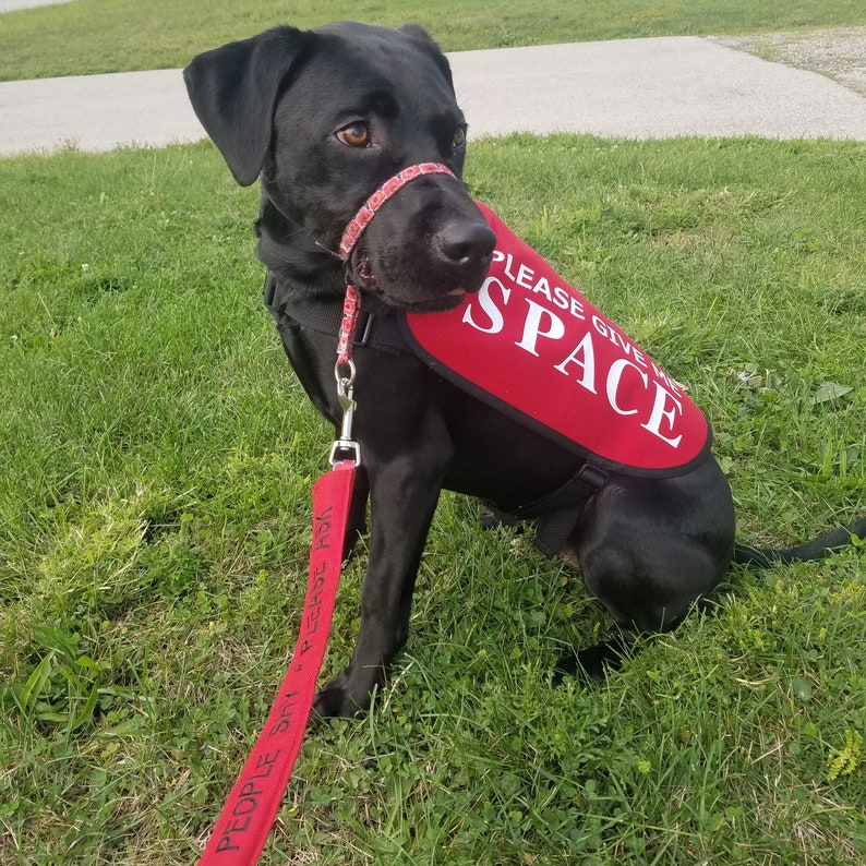 Veste sans manches pour chiens travaillant sur des problèmes Please Give Me Space image 6