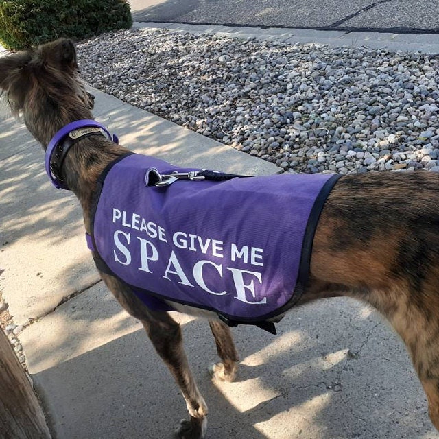 Jacket Vest for Dogs Working on Issues please Give Me Space Etsy UK