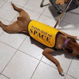 Veste sans manches pour chiens travaillant sur des problèmes Please Give Me Space image 7