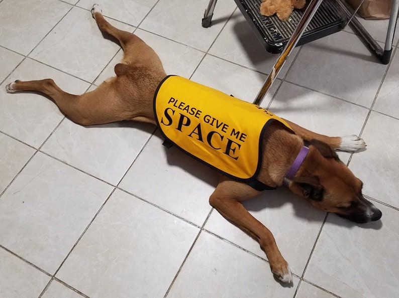 Veste sans manches pour chiens travaillant sur des problèmes Please Give Me Space image 7