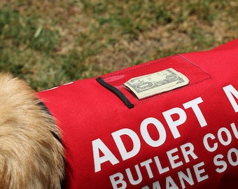 May include: A golden retriever dog wearing a red vest with the text "Adopt Me Butler County Humane Society". A dollar bill is tucked into a pocket on the vest.