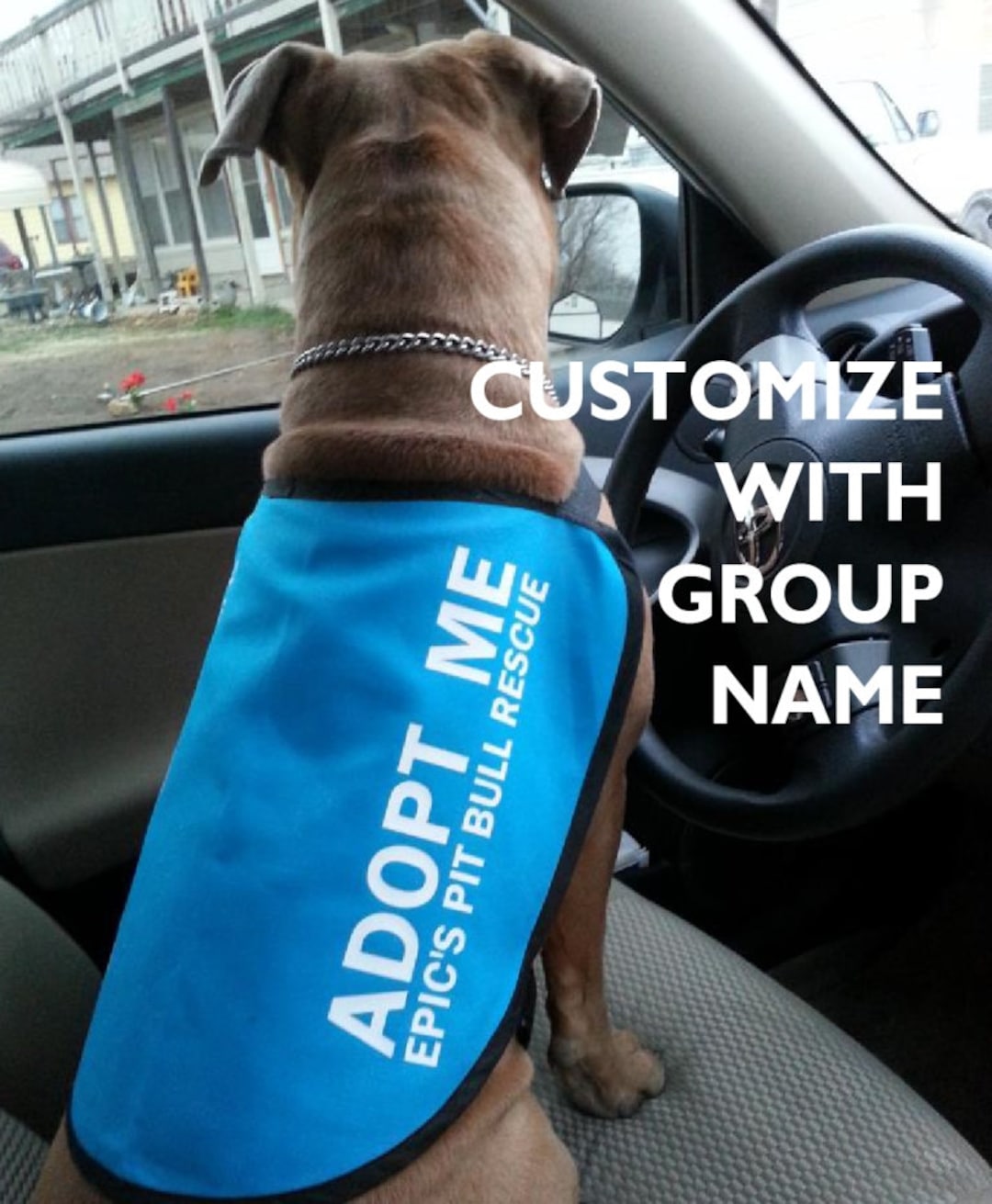 Adopt Me Dog Jacket Vest With GROUP NAME or WEBSITE Ireland