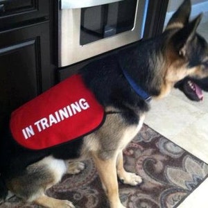 In Training Dog Jacket Vest image 2