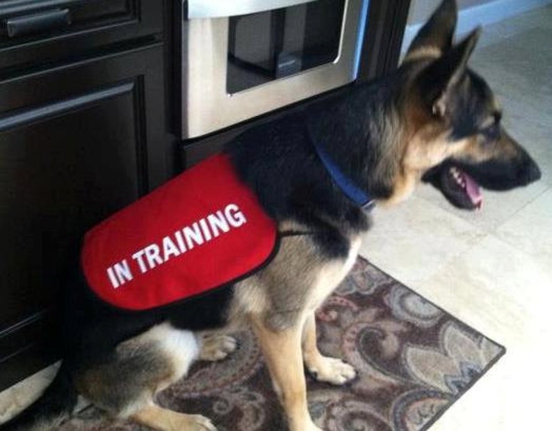 In Training Dog Jacket Vest image 2