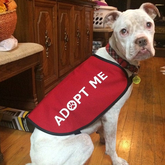 Adopt Me Dog Jacket Vest Etsy - dog skin roblox